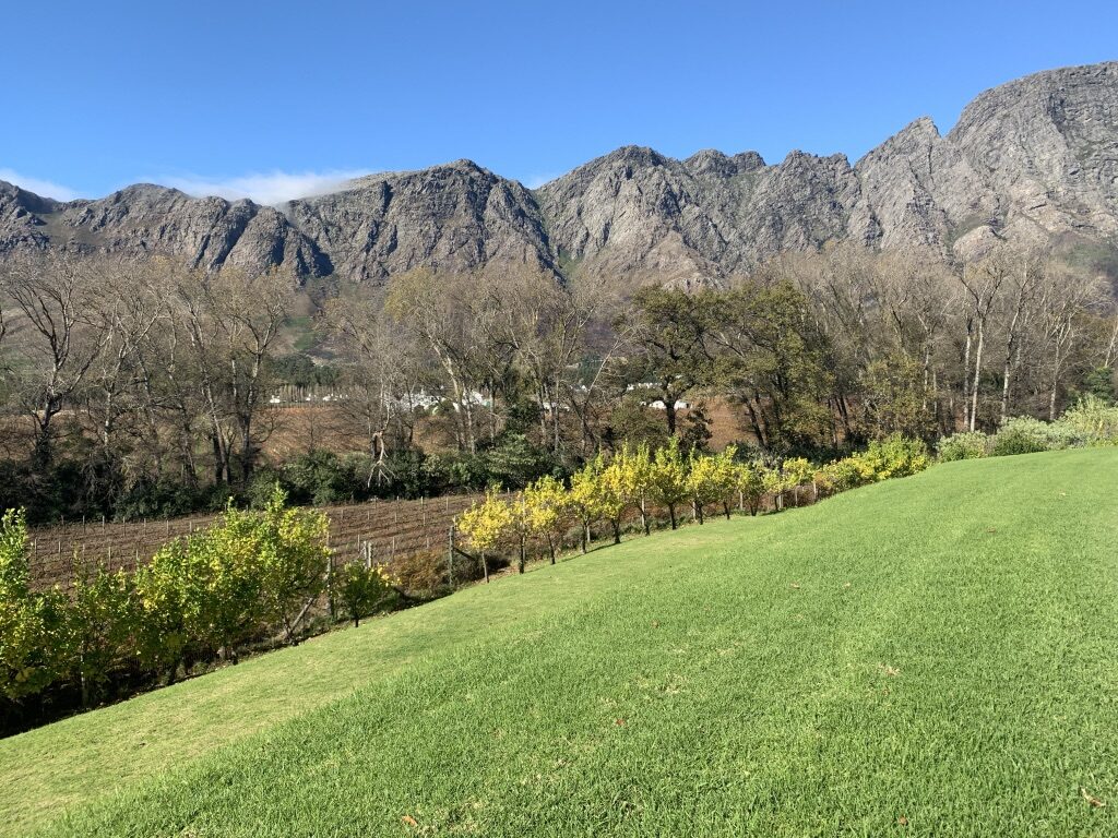 Franschhoek Wine Tram South Africa, South African Safari, Luxury Travel Agent, Where to stay in South Africa